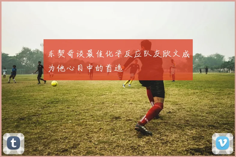 东契奇谈最佳化学反应队友欧文成为他心目中的首选