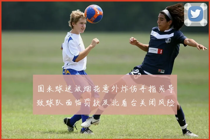 国米球迷放烟花意外炸伤手指或导致球队面临罚款及北看台关闭风险
