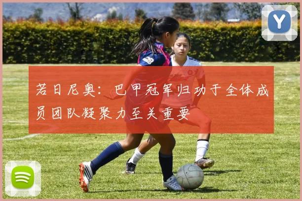 若日尼奥：巴甲冠军归功于全体成员团队凝聚力至关重要