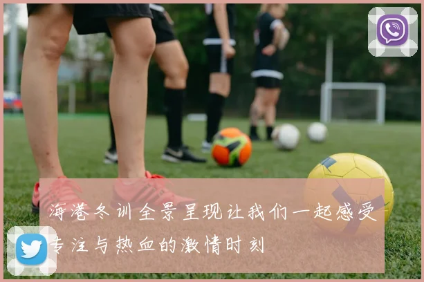 海港冬训全景呈现让我们一起感受专注与热血的激情时刻