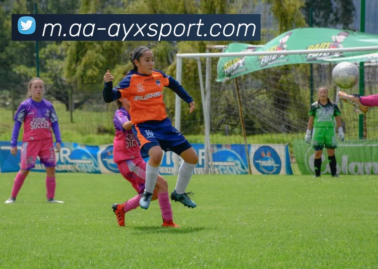 爱游戏体育品牌故事